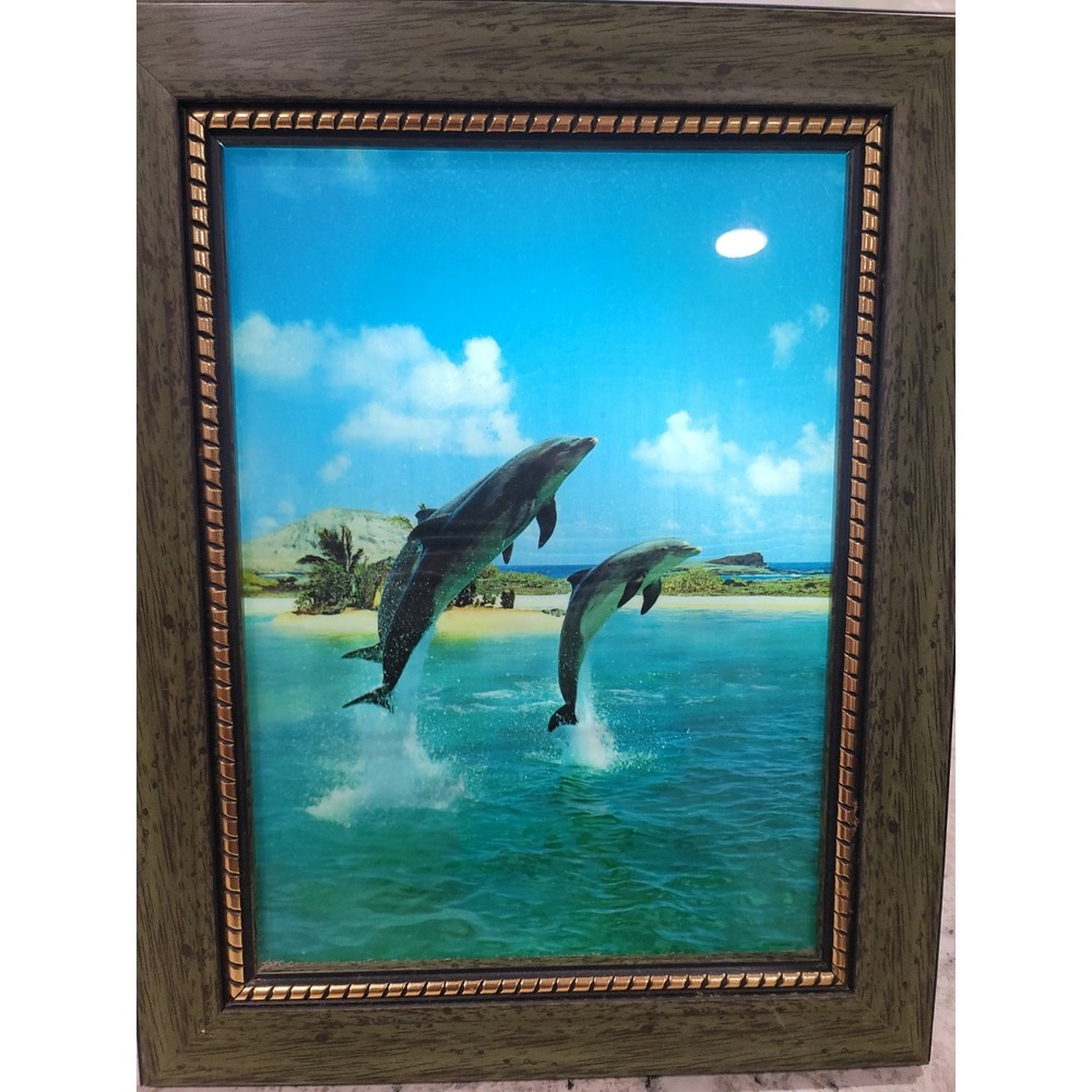 Vintage Motion enable picture dolphins lights up plays ocean dolphin noises